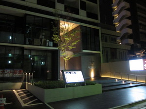 IMG_3687.JPG