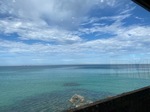 IMG_4708.jpg